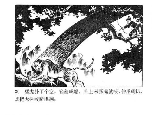 一幅壮锦(一幅壮锦告诉我们什么道理)插图41