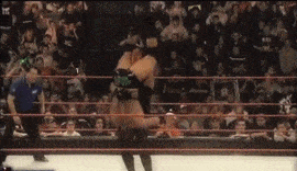wwe体育价值排名前十(wwe历史十大排名)插图55