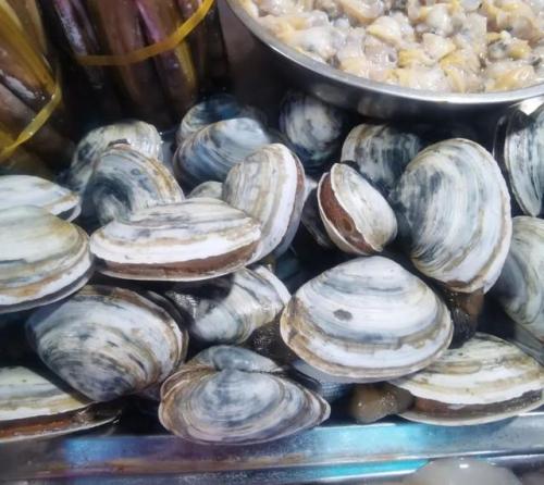 青岛海鲜品种排名前十(青岛海鲜餐厅人气排名)插图35