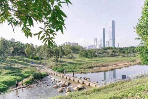 深圳最好玩的地方(深圳最值得去的地方)插图29
