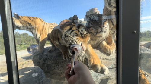 哈尔滨自拍馆排名前十(哈尔滨最好的回民馆)插图69