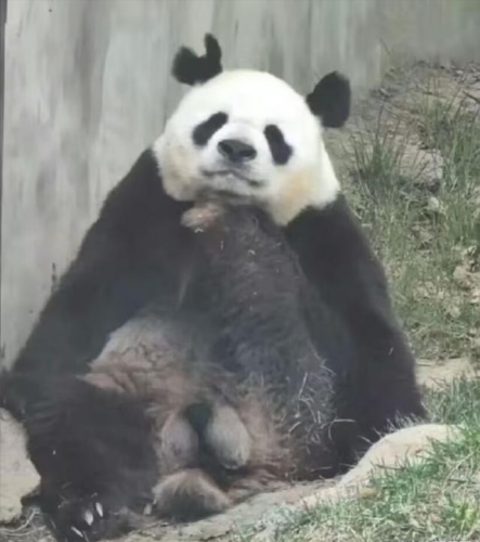 各界大佬捐钱排名前十(名人大咖捐钱的例子)插图13