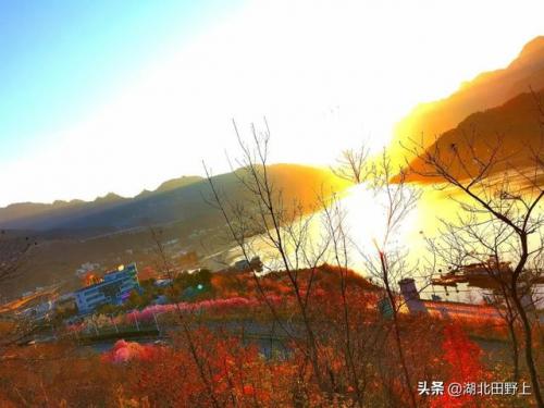 宜昌团建名宿排名前十(宜昌民宿排行榜)插图77