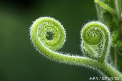 老歌大全(8090怀旧经典)插图19