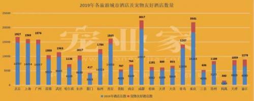 丽江宠物学校排名前十(广东省宠物学校排名)插图5