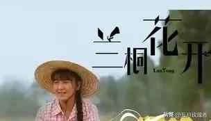 农村题材(农村题材的电视剧大全)插图8