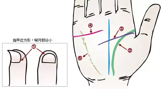 掌纹分析专家排名前十(掌纹密码书籍)插图19