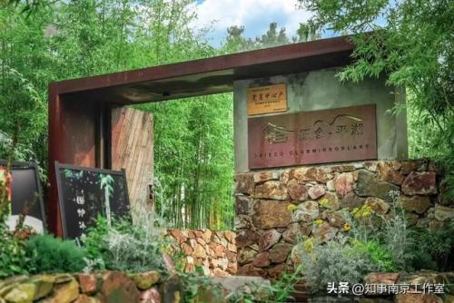 南京风格酒店排名前十(南京排名前五的酒店)插图11