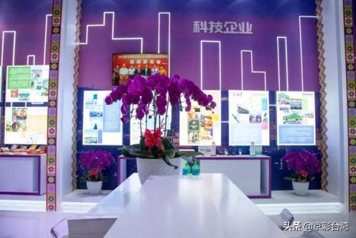 宝岛眼镜百货(宝岛眼镜官方网站)插图8