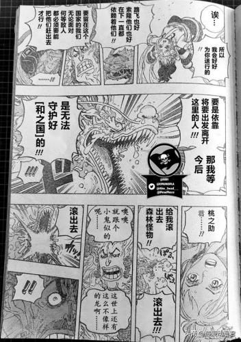 海贼王1055(海贼王漫画1055话汉化版本)插图11
