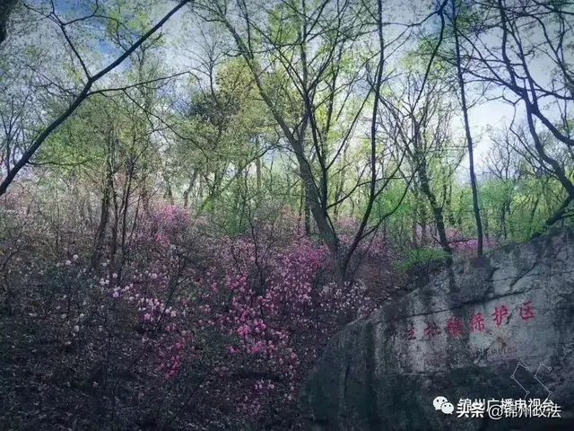 锦州旅游(锦州美食必吃10家饭店)插图2