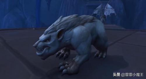 wow小宠物推荐(魔兽世界野外稀有小宠物)插图6