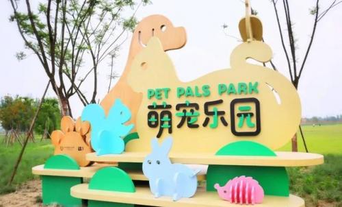 四川成都旅行社(在成都被旅行社坑了)插图3
