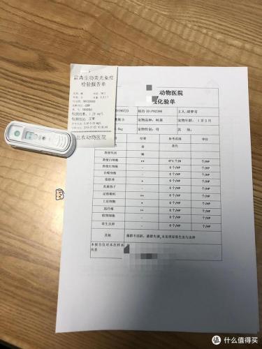 宠物用品(中国宠物用品生产基地)插图1