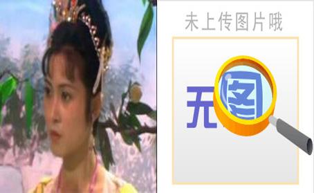浙江版西游记演员表(浙版西游记高翠兰)插图22