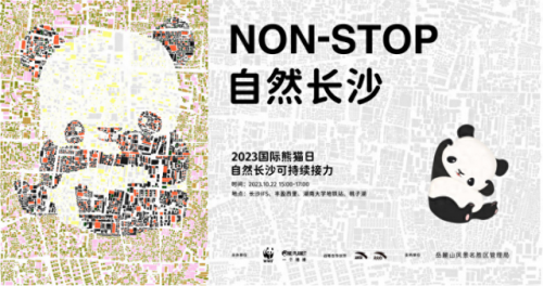 熊猫人招募(成都大熊猫繁育研究基地招聘)插图