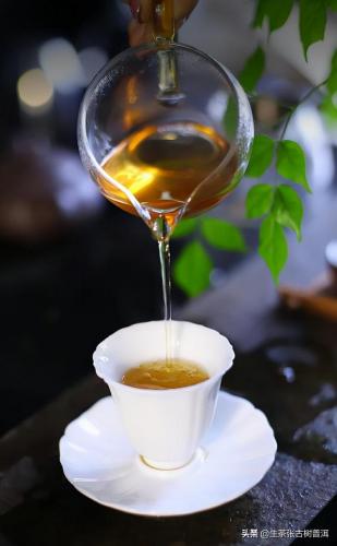 普洱茶品牌(正宗普洱茶哪个牌子最好)插图8