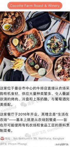 泰国菜馆排名前十(嘟嘟泰国菜馆怎么样)插图8