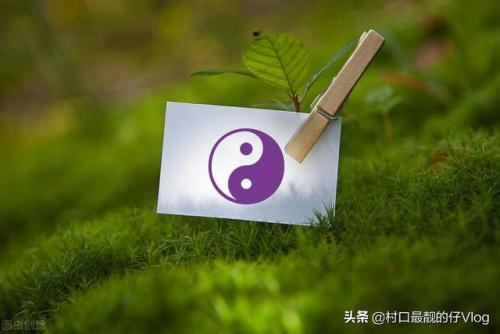 太极禅院(太极禅国际文化发展有限公司)插图