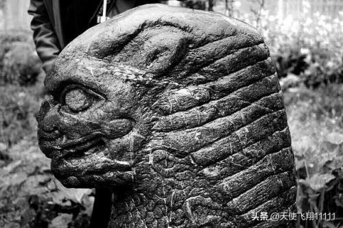 最强时空神兽排名前十(终极系列银时空神兽)插图6