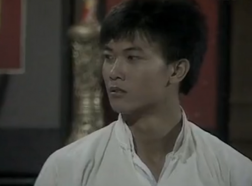 电视剧霍东阁(83版霍东阁演员表)插图6