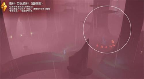 光遇破晓季雨林黑暗碎片在哪里(光遇破晓季碎片地点)插图1