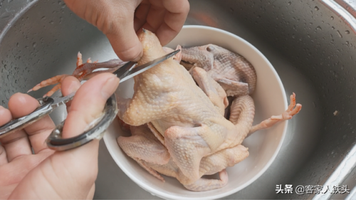 鸽子肉的做法(清炖鸽子)插图1