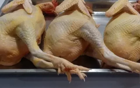 余杭外卖大餐排名前十(美团外卖年三十还送餐吗)