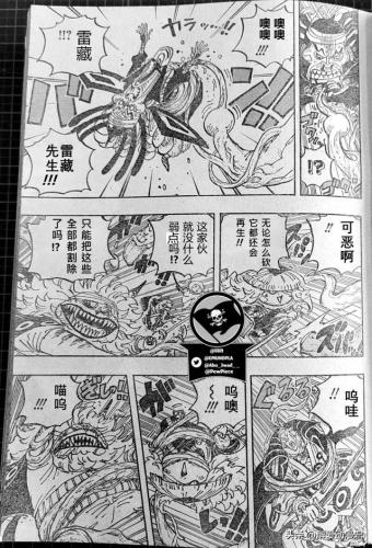 海贼王1055(海贼王漫画1055话汉化版本)插图3