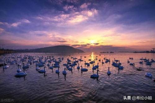 威海旅游景点大全(青岛旅游十大必去景点)插图16