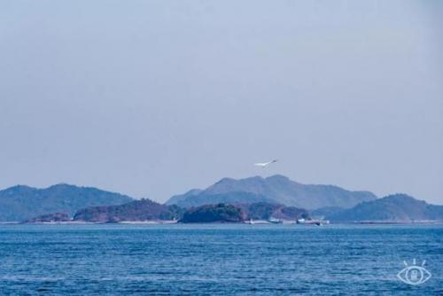 深圳最好玩的地方(深圳最值得去的地方)插图68