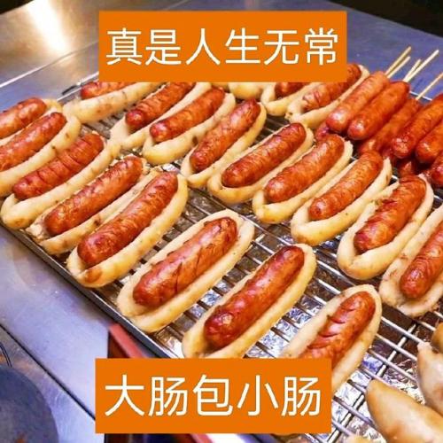 人生无常大肠包小肠是什么意思(人生无常大肠包小肠下一句怎么接)插图1