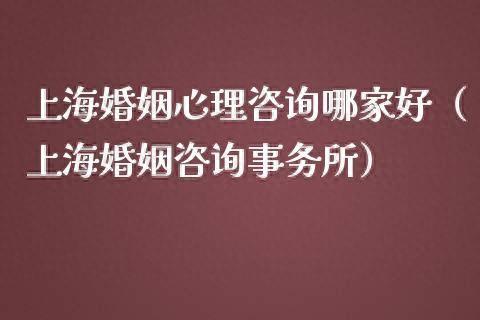 婚恋辅导机构排名前十(婚介所培训机构)插图