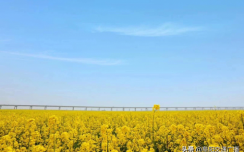 安澜小镇美食排名前十(安澜湾景区)