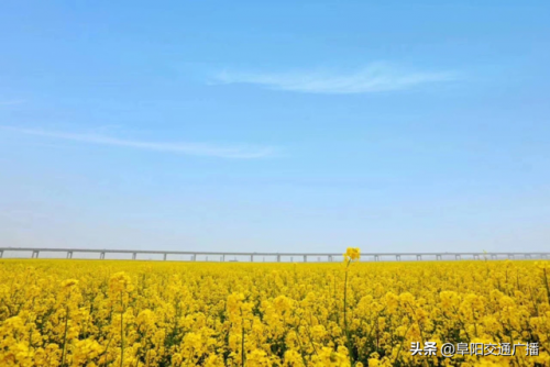 安澜小镇美食排名前十(安澜湾景区)插图