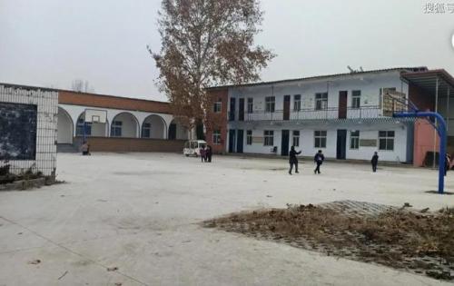 苏寨小学排名前十(普陀排名前十小学)插图