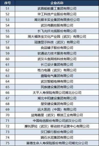 武汉纳税企业排名前十(武汉公司)插图4