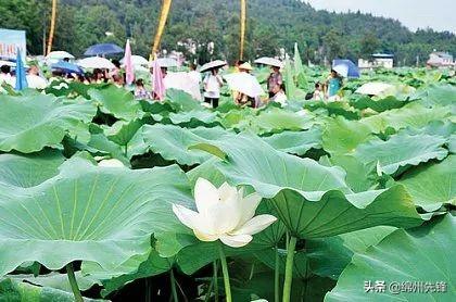 绵阳最美村落排名前十(四川绵阳最美古村)插图4