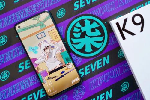 k9是什么意思(k9基本姿态)插图9