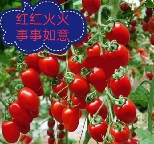时光荏苒岁月如梭(感悟岁月的经典句子)插图1