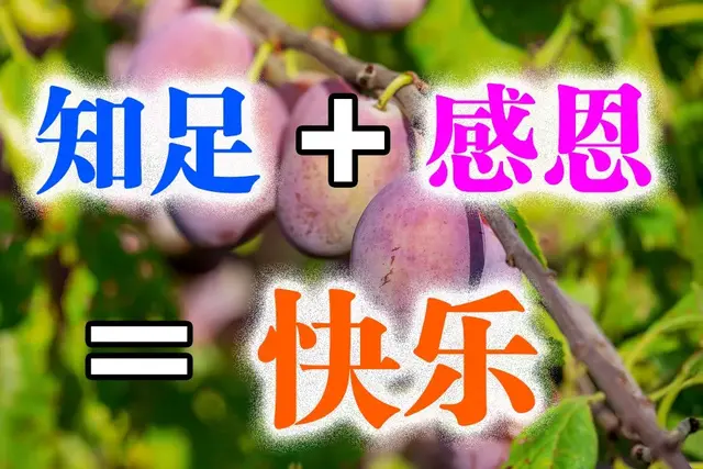 2020年图片大全好看(你好图片大全)插图5