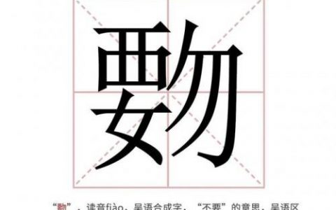 覅是什么意思(鏚鏚乸鏚成语什么意思)