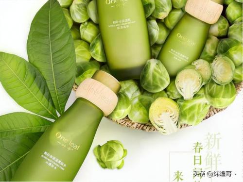 河北化妆公司排名前十(国内化妆企业排名)插图4