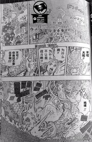 海贼王1055(海贼王漫画1055话汉化版本)插图1
