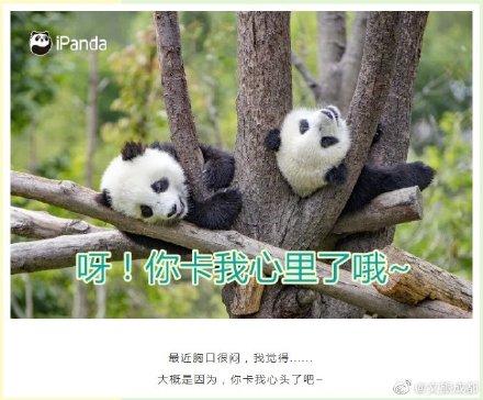 土味情话大全(撩妹500句土味情话)插图4