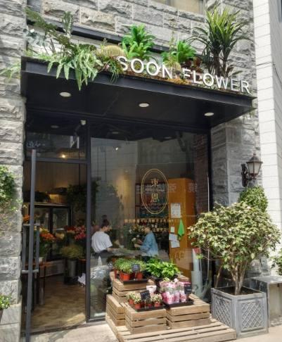 武汉热门花店排名前十(济南花店排名前十名)插图13