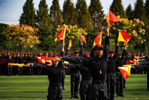 武昌职业学院(武昌职业学院学费)插图19
