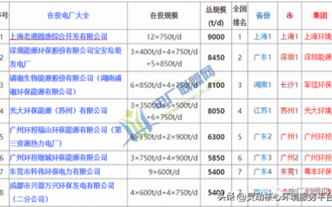 地方电厂排名全国前十(全国最大火电厂排名)