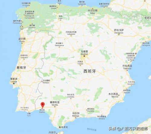 刺客信条2所有真相答案(刺客信条216号实验体谜题)插图33