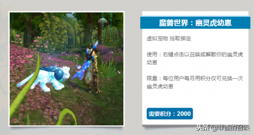 战网积分商城多久更新(暴雪战网积分怎么获得)插图16